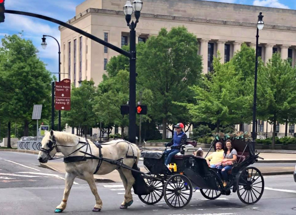 romantic carriage ride for couples